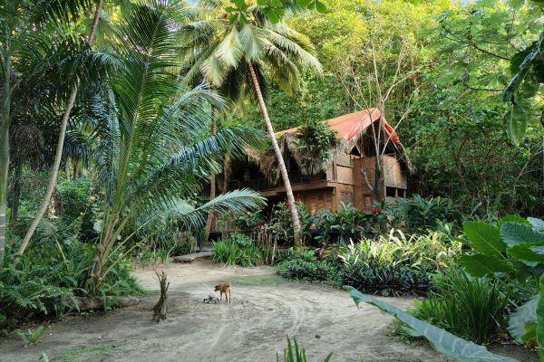 eco-lodges around the world